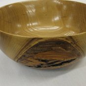 Paul Snyder - Bowl